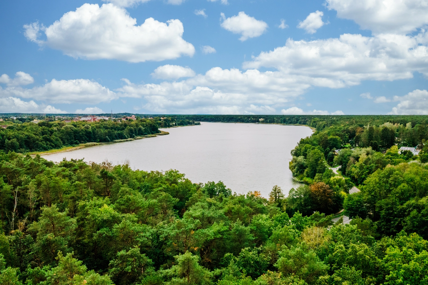 Glückliches schönes Hochzeitspaar küsst sich. Hochzeitstag.